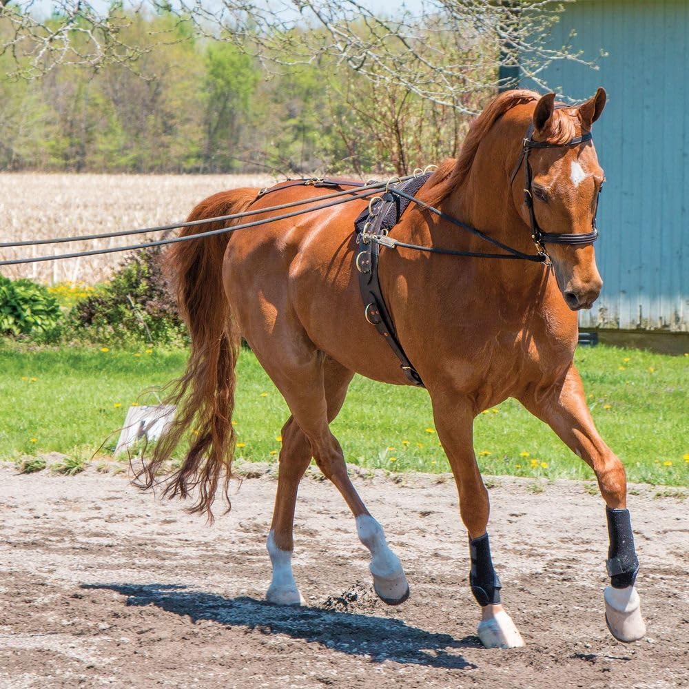 Dura-Tech MCR Long Lines 30'