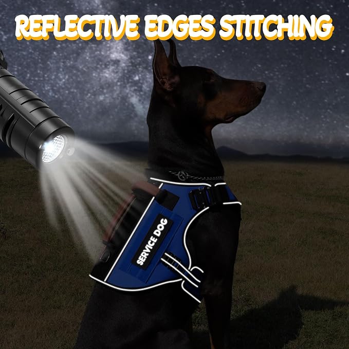 Service Dog Vest - HEYCAHVA Tactical Dog Harness Full Metal Buckles Dog Vest for Large Medium Dog Reflective No Pull Dog Harnesses with Leather Handle, Hook & Loop for Hiking Training (Blue, XL)