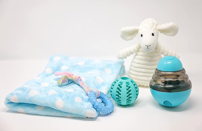 SoSoCute Blue Dog Gift Box - Puppy Chew Toy Set of 5 - Care Package with Dog Blanket, Squeaky Plush, Rubber Puppy Teether, Teething Ball, and Treat Ball for Small and Medium Dogs