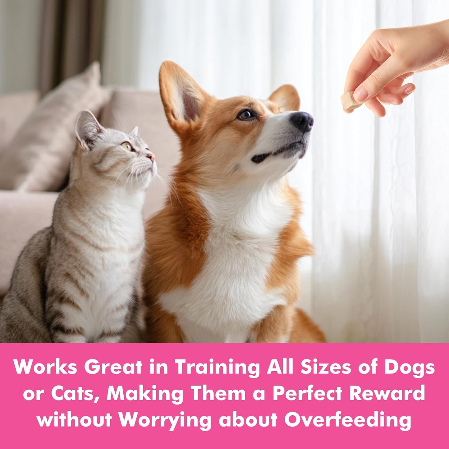 Freeze Dried Cats & Dogs Raw Treats, All Natural Single Ingredient Duck Breast, High Protein Healthy Pet Training Treats or Food Topper, 5.3 oz