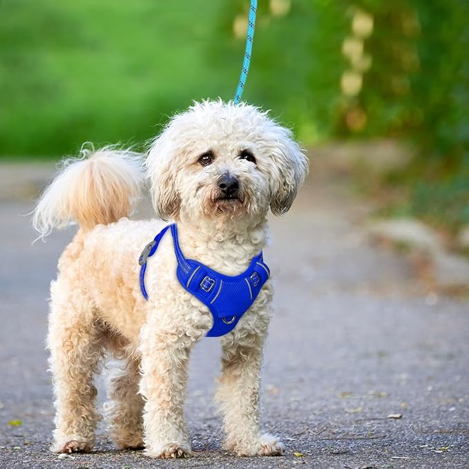BARKBAY No Pull Dog Harness Large Reflective Dog Harness with Front Clip and Easy Control Handle for Walking Training Running with ID tag Pocket(Sapphire Blue,S)