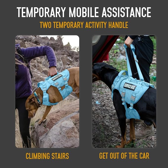 Service Dog Vest for Large Dogs, Blue Tactical Harness with Military MOLLE, Breathable Mesh & 39g Metal Buckle - Size M for Training & Hiking