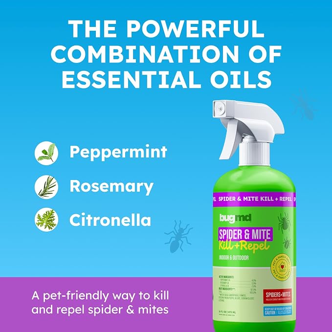 BugMD Pet Safe Spider Repellent Indoor & Outdoor Spray | Natural Spider & Mite Killer with Peppermint Oil to Create a Pest-Free Home - 16oz