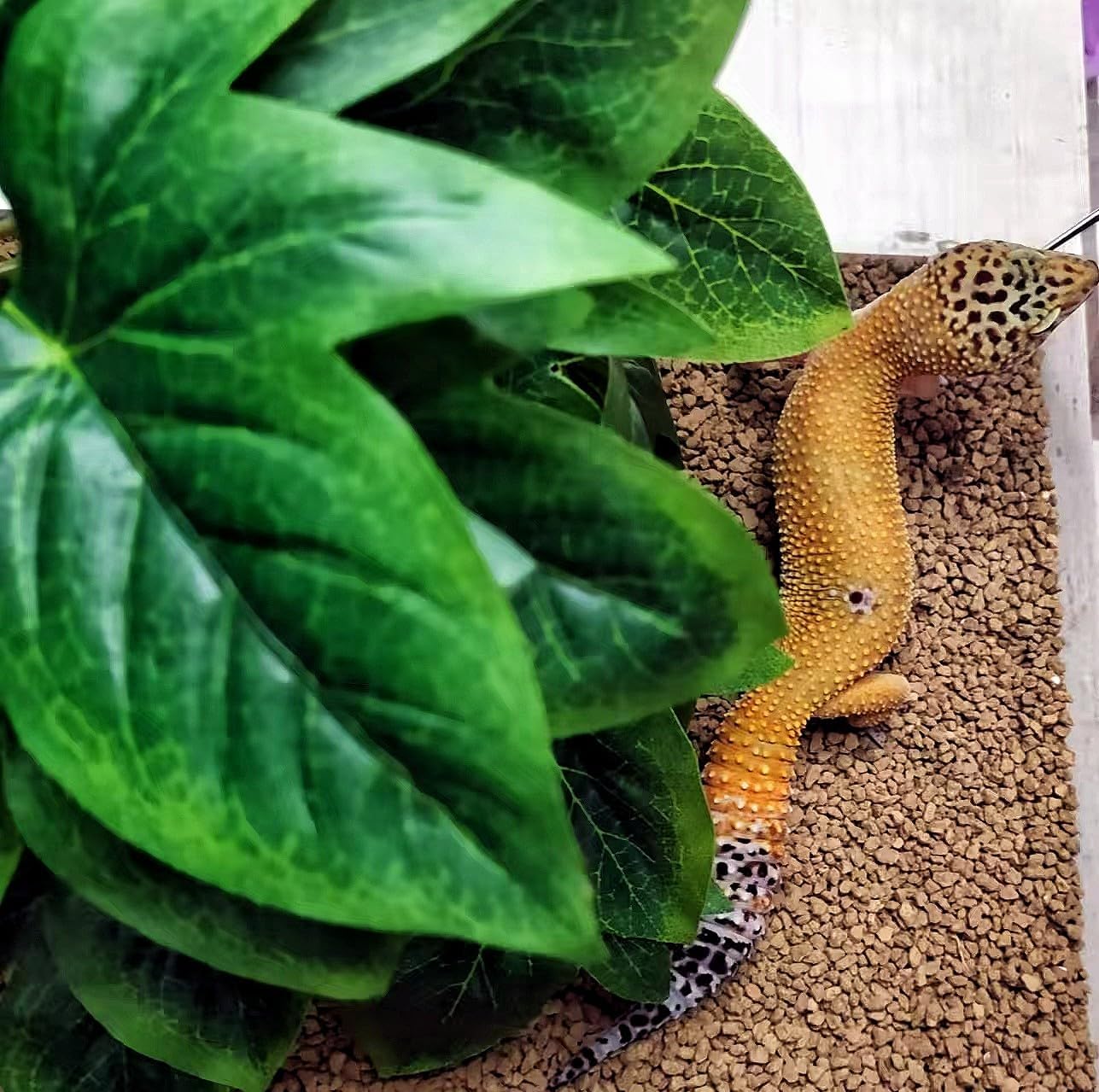 Reptile Plants for Terrarium Decor, Amphibian Habitat Decor, Reptile Tank Accessories, Artificial Hanging Plants with Suction Cup-2 Packs (Sweet Potato Vine)