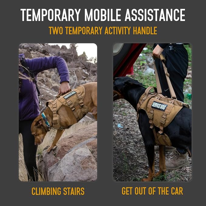 Service Dog Vest for Large Dogs, Brown Tactical Harness with Military MOLLE, Breathable Mesh & 39g Metal Buckle - Size L for Training & Hiking