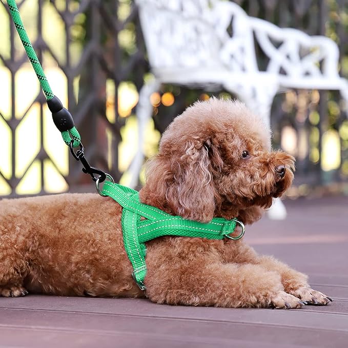 Plutus Pet No Pull Dog Harness for Puppy Small Dogs, Breathable Mesh Padded | Adjustable Reflective with Handle, Escape Proof, Quick Fit Pet Vest, Front Clip, for Training and Walking, Green, XS