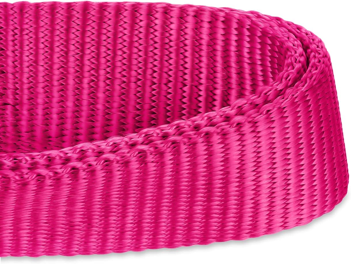 Hyhug Pets Solid Color Classic Regular Heavy Duty Basic Collar for Small Dogs, Unique Design Adjustment Triglide Slide (Buckle) Can Attached Name Tag Accessories. (Small, Rose Red)