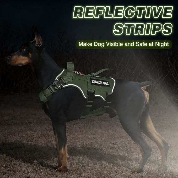Service Dog in Training Vest and Leash Set+10 Patches,Escape Proof | Heavy Duty Tactical Dog Harness with Metal Buckles for Large Sized Dogs,No Pull Front Back Clips,for Training Hiking,Green L