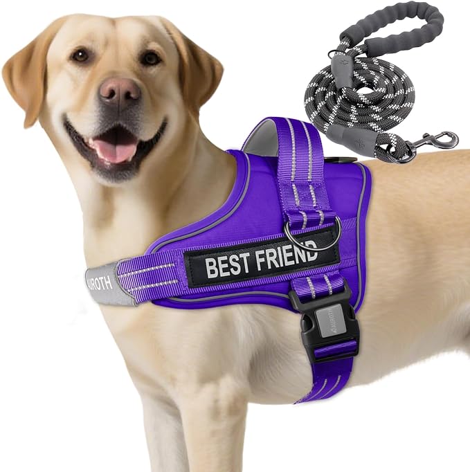 AUROTH Dog Harness for Large Dogs No Pull Tactical Harness and Leash Set | with Leash Clips, LED light clip, Breathable Mesh Padded No Choke, Easy Walking and Training, Purple, Large