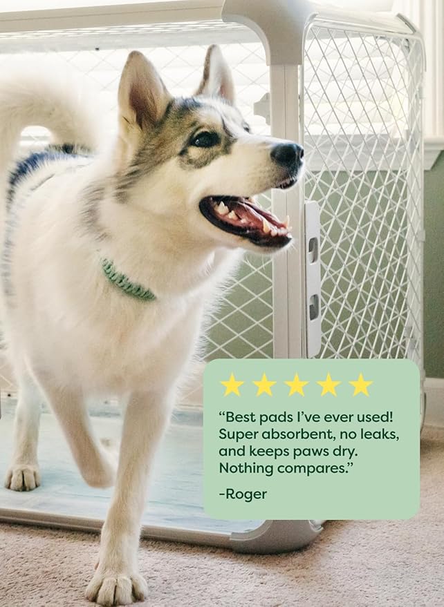 Earth Rated Max Absorbency Trial Pack Puppy Pee Pads for Dogs Absorbs 2X Faster & 2X More, Leak-Proof, Odor Control Potty Training, Unscented, XL, 28” x 34”, 1 Count