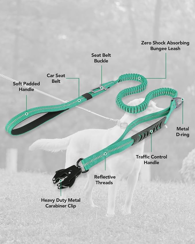 Joytale Tactical Bungee Dog Leash, Shock Absorbing No Pull, Teal | for Large Dogs That Pull, 2 Padded Handles for Control, Car Seatbelt Clip, Reflective for Night Safety, Metal Frog Clip