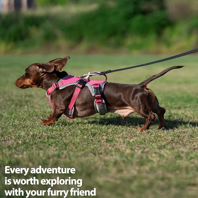 Escape Proof Dog Harness, Dachshund Harness, Reflective Dog Harness with Handle, Durable,Adjustable Vest for Small Medium Large Dogs Walking, Training, and Running Gear (Rose red,M)