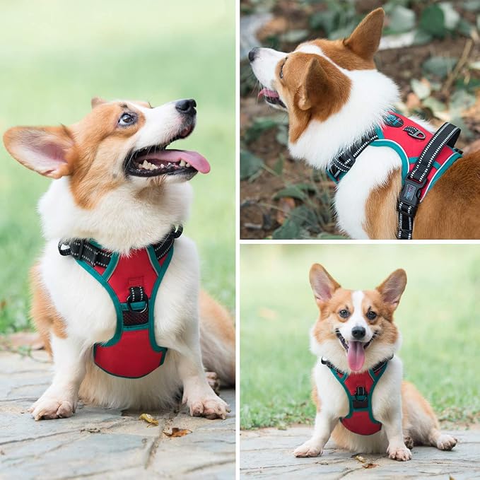 Upgraded No Pull Dog Harness, Reflective Adjustable Vest | with a Training Handle + 2 Metal Leash Hooks+ 3 Snap Buckles +4 Slide Buckles(M, Red)