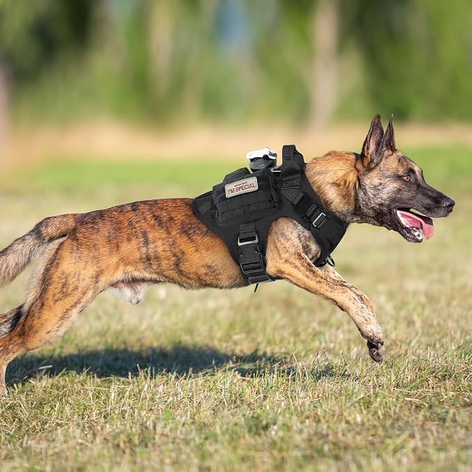 rabbitgoo Tactical Dog Harness X-Large, Heavy Duty Military No Pull Vest | Sturdy Metal Buckles, 5 Adjustments, Molle System, Powerful Pullers for Training, Hunting, Outdoor, Black, X-Large