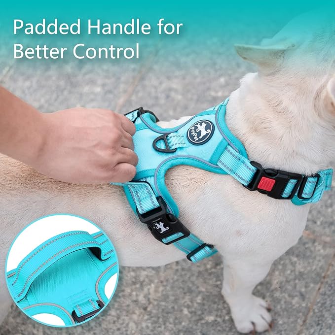 PoyPet No Pull Dog Harness, Reflective Vest with 2 Leash Clips & Handle | Lockable Neck Release Buckle, No Choke, Adjustable, Soft Padded, for Walking Training, Mint Blue Matching Trim, Large