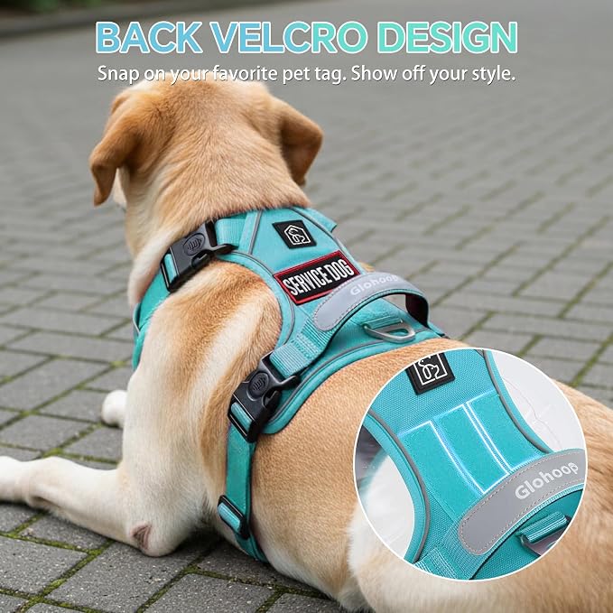 Heavy Duty Tactical Dog Harness for Medium Dogs, No Pull Dog Harness with Handle & Front Clip, Reflective Soft Padded, Hook and Loop Panel, Dog Vest for Walking, Service Training, Blue