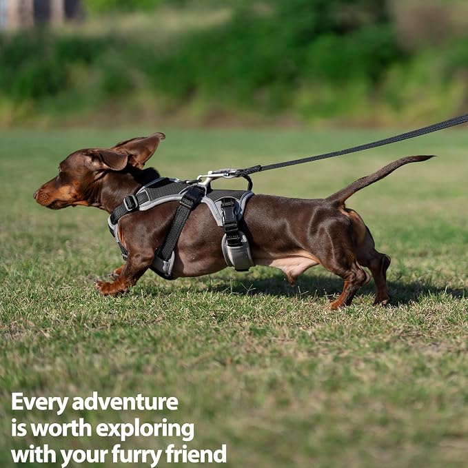 Escape Proof Dog Harness, Dachshund Harness, Reflective Dog Harness with Handle, Durable,Adjustable Vest for Small Medium Large Dogs Walking, Training, and Running Gear (Black,XL)
