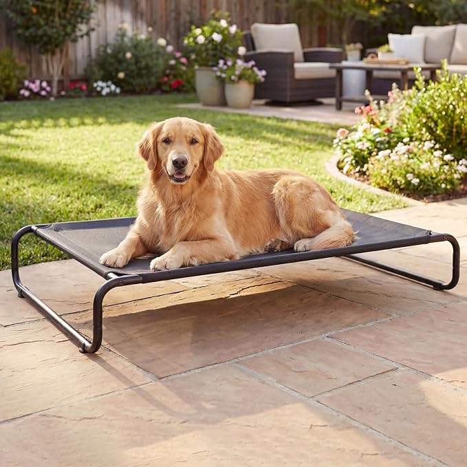Veehoo Cooling Elevated Dog Bed, Outdoor Raised Dog Bed for Large Dogs | Dog Cot with Thickened Frame, Durable Teslin Mesh & Anti-Slip Rubber Feet, Pet Hammock for Indoor or Camping, 49", Black