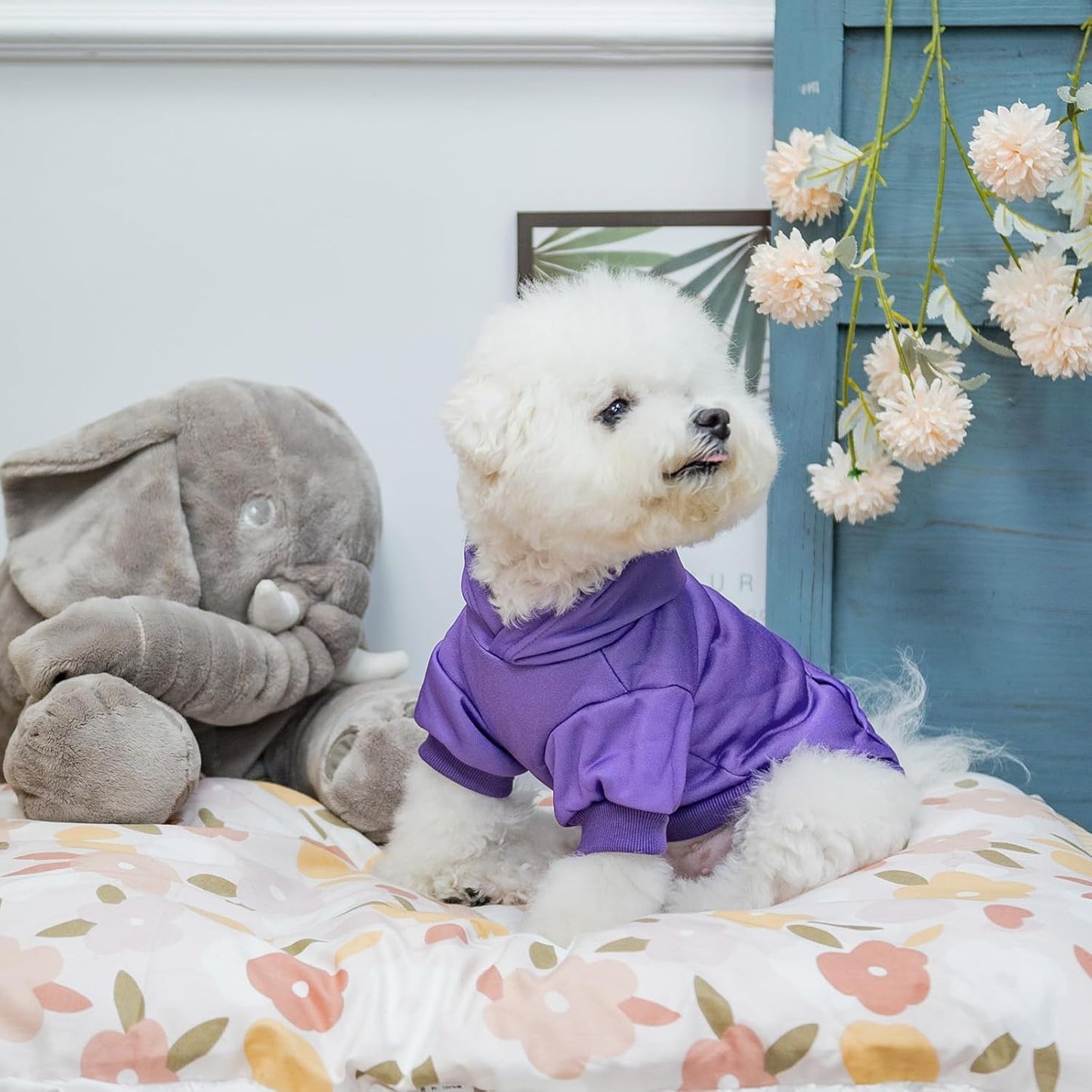 KOOLTAIL Basic Dog Hoodie - Soft & Warm Dog Hoodie Sweater with Leash Hole and Pocket, Dog Winter Coat, Cold Weather Clothes Sweatshirt for Small Medium Large Dogs Puppy Cat Boys Girls Purple M