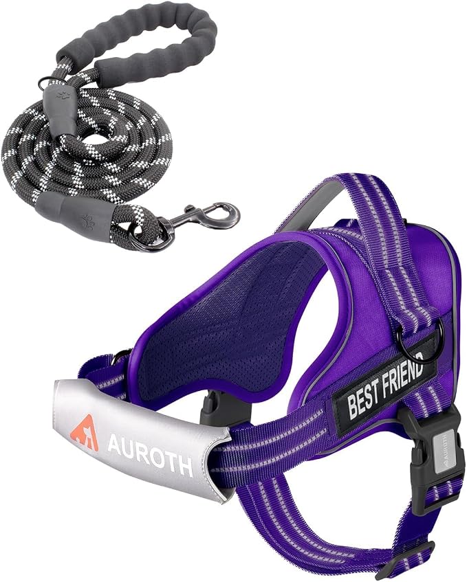 AUROTH Dog Harness and Leash Set Small Sized Dog, No Pull Escape Proof Vest | with Leash Clips, LED light clip, Breathable Mesh Padded No Choke, Easy Walking and Training, Purple, Small