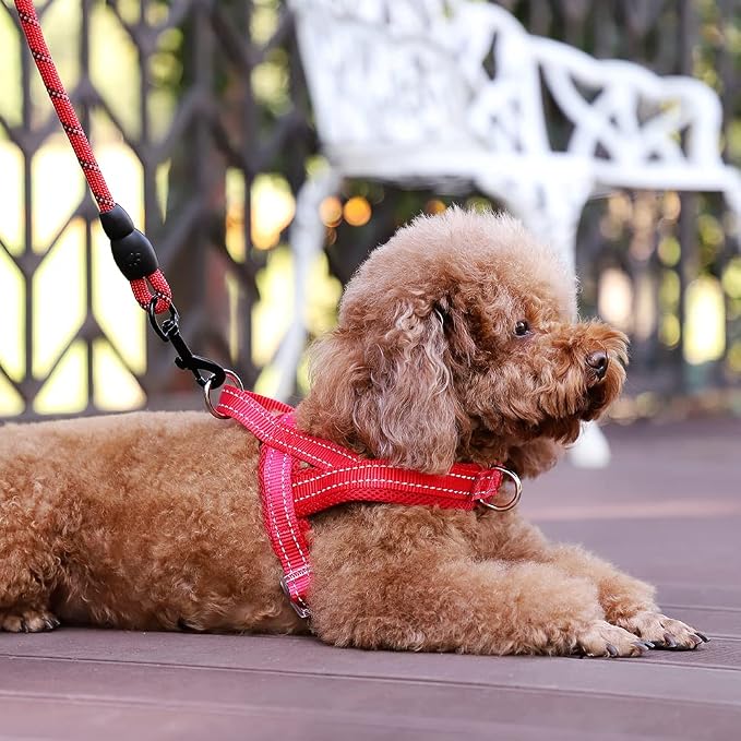 Plutus Pet No Pull Dog Harness for Puppy Small Dogs, Breathable Mesh Padded | Adjustable Reflective with Handle, Escape Proof, Quick Fit Pet Vest, Front Clip, for Training and Walking, Red, XS