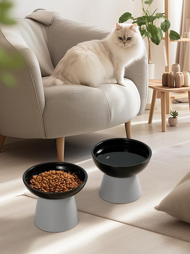 LoeJan Elevated Cat Food and Water Bowls Set, Extra Wide and Raised Ceramic Feeder, Anti-Vomit Whisker-Free Pressure Feeding Bowl for Kittens Adult Small Dogs (Black, Food Bowl)