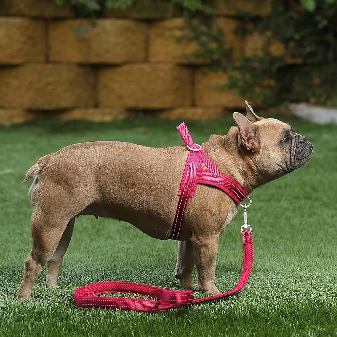 Plutus Pet No Pull Dog Harness for Medium Sized Dog, Breathable Mesh Padded | Adjustable Reflective with Handle, Escape Proof, Quick Fit Pet Vest, Front Clip, for Training and Walking, Pink, M