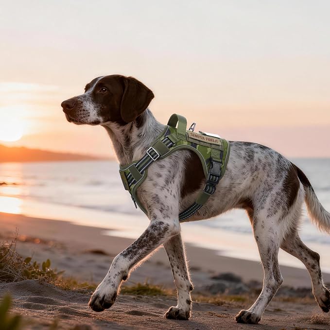 rabbitgoo Tactical Dog Harness Medium Sized, No Pull Service Pet Vest | Military Molle System & Easy Control Handle, Adjustable and Reflective for Walking and Training, Green Camo, Medium