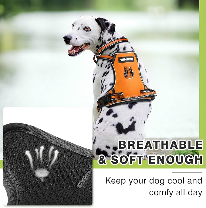 Dog Harness No Pull, Pet Harnesses with Dog Collar, Adjustable Reflective Oxford Outdoor Vest, Front/Back Leash Clips for Small, Medium, Large, Extra Large Dogs, Easy Control Handle for Walking