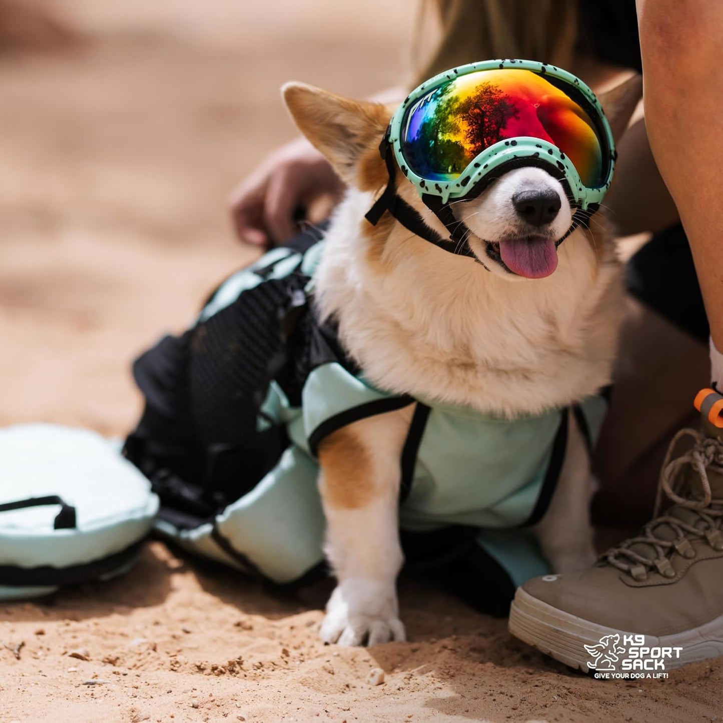 K9 Sport Sack Plus 2 - Small, Light Grey - Ideal for Dogs 13-16” Long - Adjustable, Backpack-Style Carrier with Multi-Functional Storage Pack, Thick Shoulder Straps & Padded Back Panel