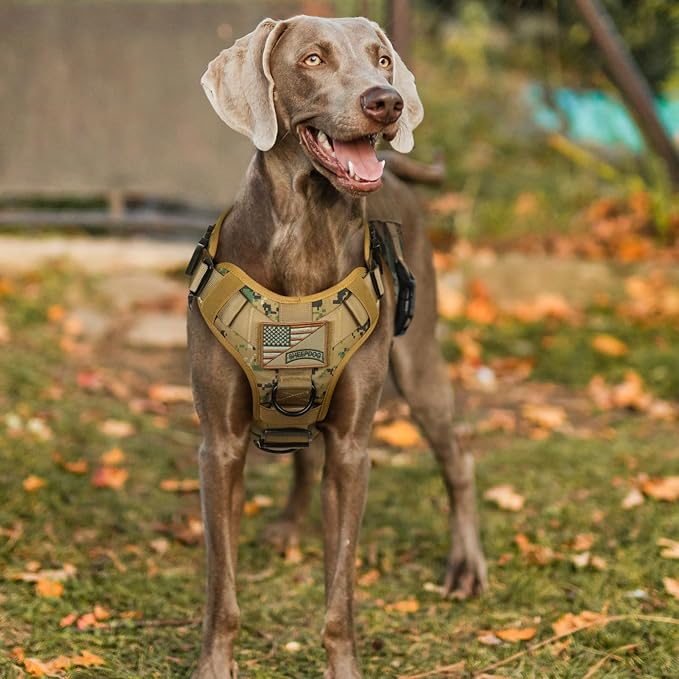 rabbitgoo Tactical Dog Harness for Small, Heavy Duty Military No Pull Vest | Sturdy Metal Buckles, 5 Adjustments, Molle System, Powerful Pullers for Training, Hunting, Outdoor, Brown Camo, Small