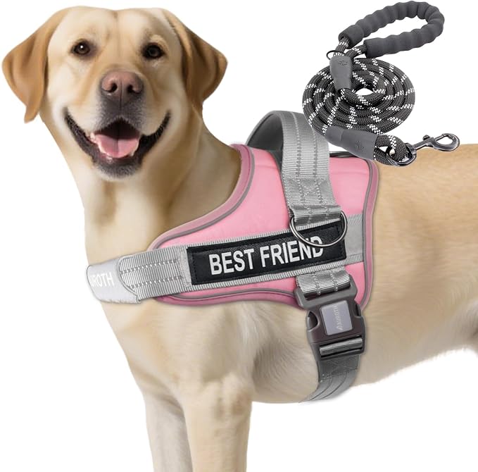 AUROTH Dog Harness and Leash Set for Large Sized Dog, No Pull Dog Vest | with Leash Clips, LED light clip, Soft Padded No Choke, Escape Proof, Easy Walking and Training, Pink, XL