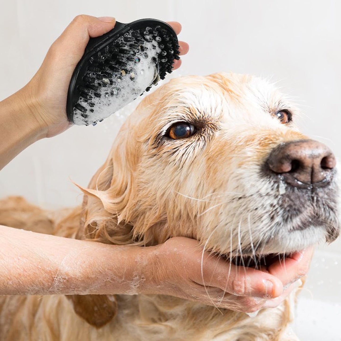 Dog Brush Kit for Grooming Short & Long Haired Dogs & Cats, 4-in-1 Pet Grooming Set with Self-Cleaning Slicker Brush, Deshedding Tool, Shampoo Bath Comb, Massge Comb (Green Black)