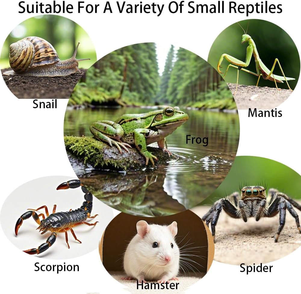 Acrylic Jumping Spider Enclosure,Reptile Enclosure,Bug Habitat, for Small Tree Dwelling Reptiles,Arboreal Tarantula Enclosure, Spider Terrarium Kit,Plastic Terrarium(4.7" X 4.7" X 8")