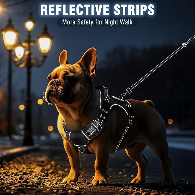 Tactical Dog Harness and Leash Set Medium Sized Dog+10 Dog Patches | Adjustable No Pull Service Animal Dog Vest with Dog Seat Belt,Padded Handles,Reflective Easy Walk for Training Hiking Black M