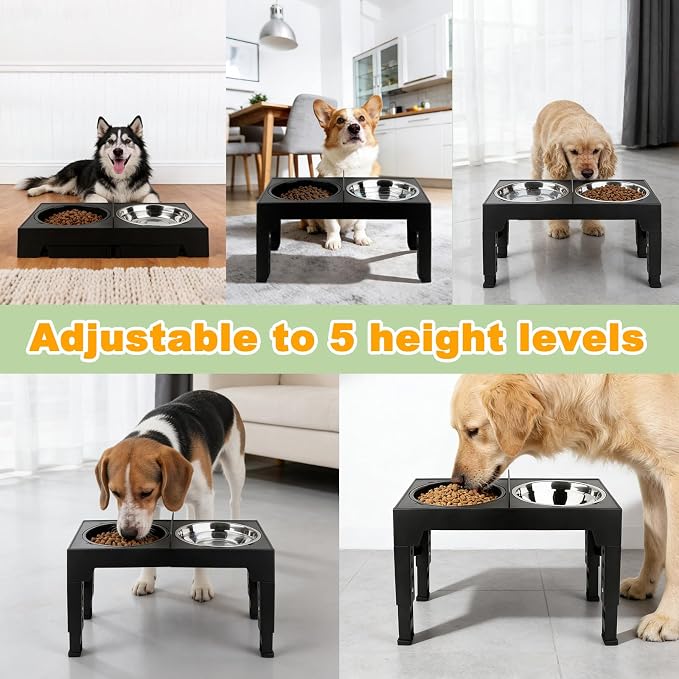 4-in-1 Elevated Dog Bowl Stand with Slow Feeder, 5 Adjustable Heights | Spill-Proof Water Dish, 2 Stainless Steel Bowls, Anti-Mix Divider, Foldable Non-Slip EVA Base, For Small to Large Dogs