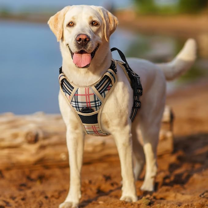 rabbitgoo Dog Harness, No Pull for Large Dogs with 2 Leash Clips, Pet Vest | No Choke with Handle, Adjustable Soft Padded, Reflective, Easy Control for Walking, Beige Plaid, X-Large