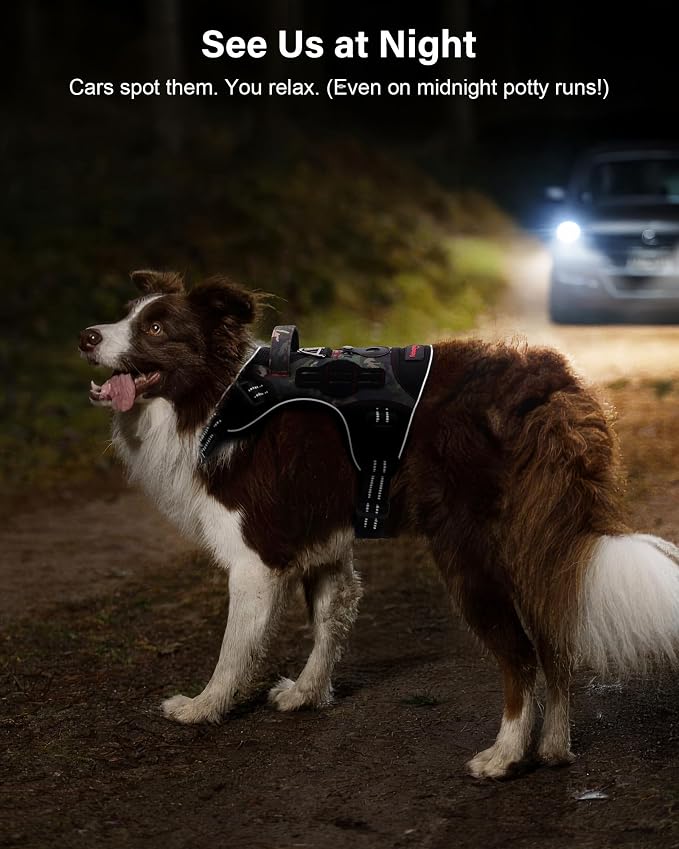 Petnanny Tactical Dog Harness No Pull Service Dog Vest S Purple | Tactical Dog Vest with breathable mesh & hook loop panel, no pull harness for walking training, adjustable fit