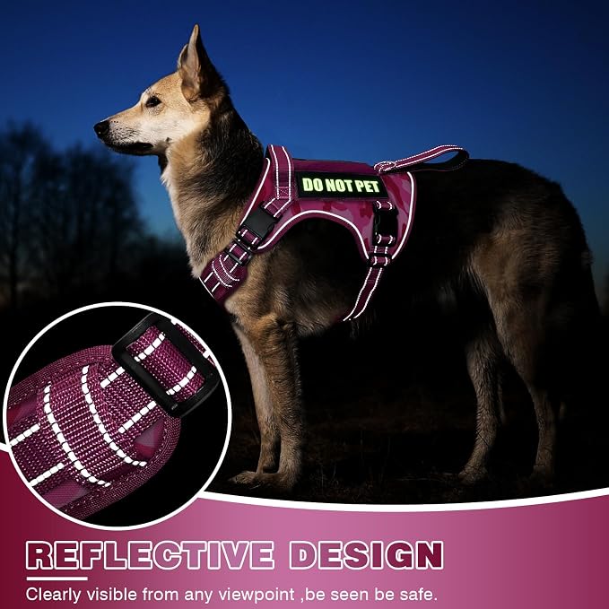 Tactical Dog Harness, No Pull Dog Harness for Medium Large Dogs with Handle & Molle, Military Service Dog Vest Harness in Training Pet Harness for Small Dogs