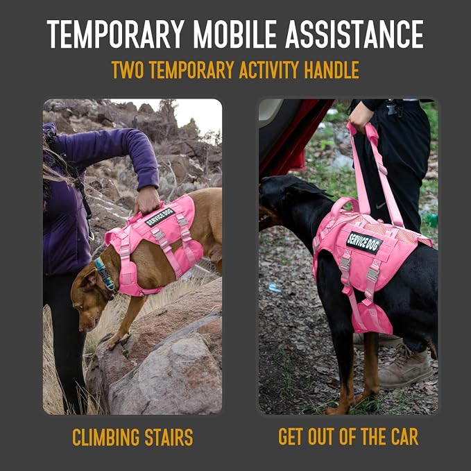 Service Dog Vest for Large Dogs, Pink Tactical Harness with Military MOLLE, Breathable Mesh & 39g Metal Buckle - Size XL for Training & Hiking