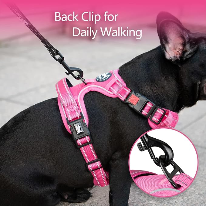 PoyPet No Pull Dog Harness, Reflective Vest with 2 Leash Clips & Handle | Lockable Neck Release Buckle, No Choke, Adjustable, Soft Padded, for Walking Training, Pink Matching Trim, Small