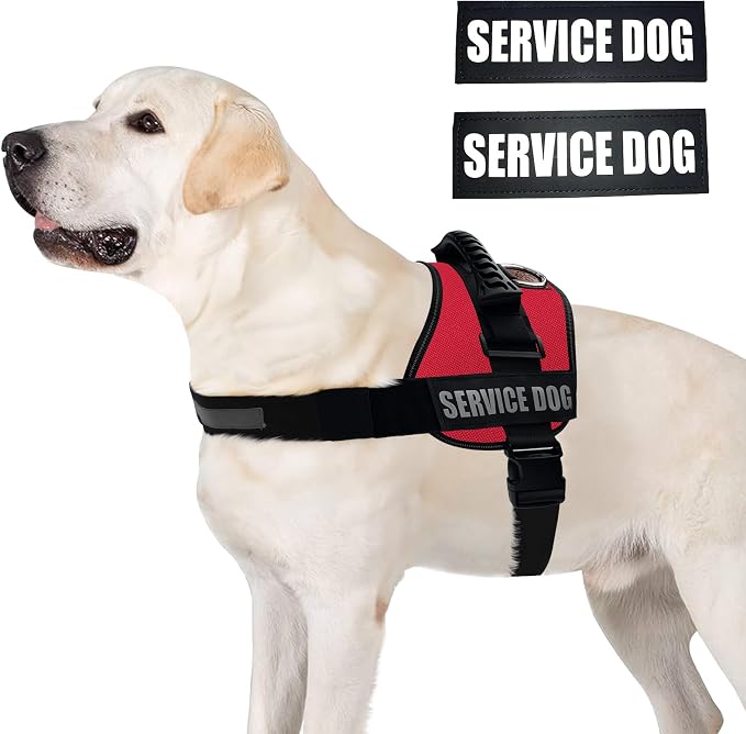 Service Dog Vest Harness – Reflective Service Animal Vest with Handle, No-Pull Adjustable Mesh Padding – XXS–XL – 2 Removable Patches. (XXS, Red)