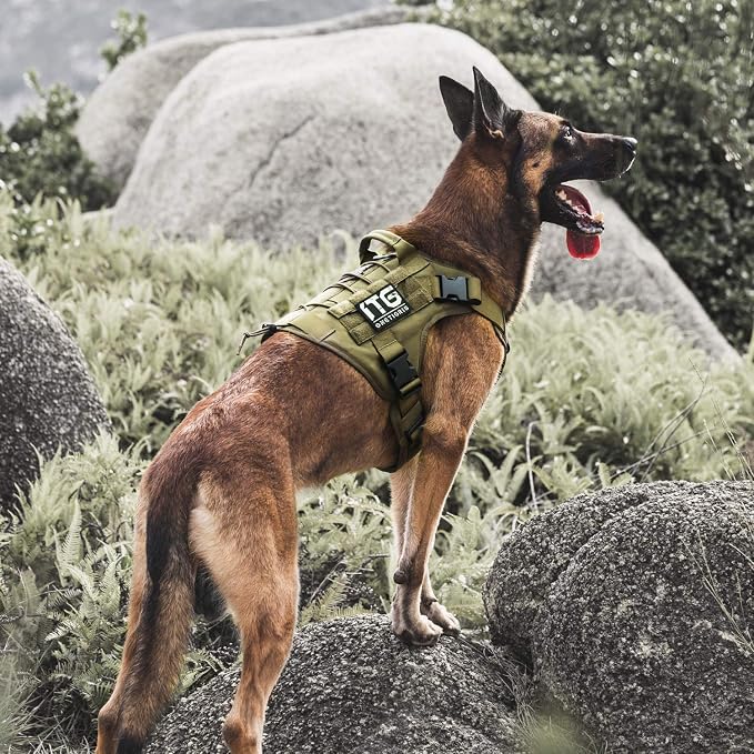 OneTigris Tactical Dog Harness Vest No-Pull Service Dog Vest for Large Dogs | 1000D Pullable Nylon, with Control Handle and Hook & Loop Panels, Easy On & Off, Adjustable for Walking Training Green XL
