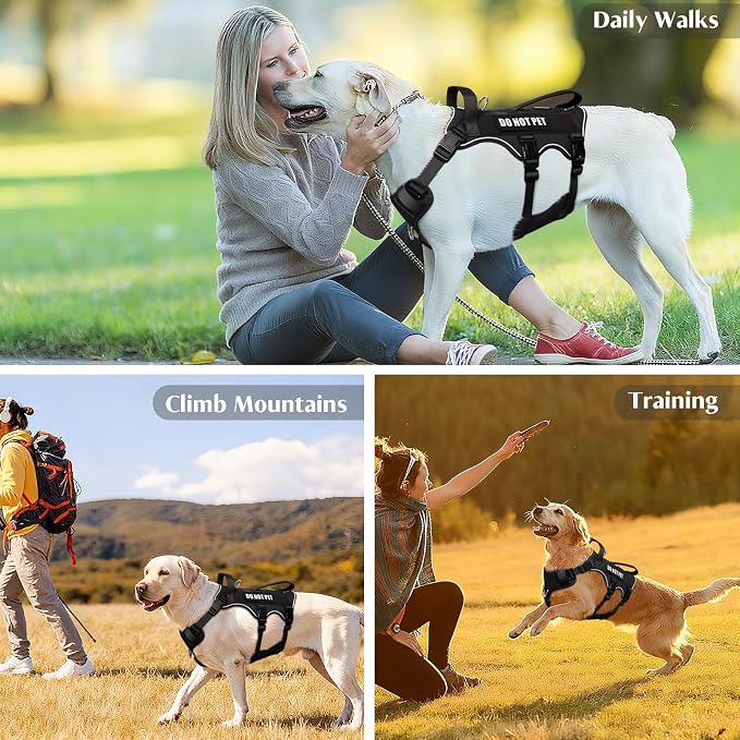 Escape Proof Dog Harness with Double Handle+4 Removable Patches | Service Working Molle Harness with Double Handle for Medium Dogs, Tactical Pet Reflective Vest for Walking Hiking Hunting