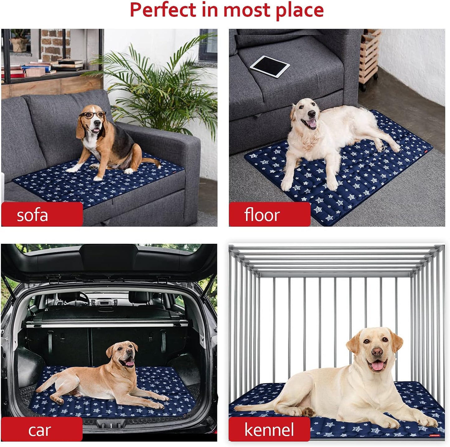 Dog Crate Mat (42" X 28"), Soft Dog Bed Mat with Cute Prints, Personalized Crate Pad, Anti-Slip Bottom, Machine Washable Kennel Pad