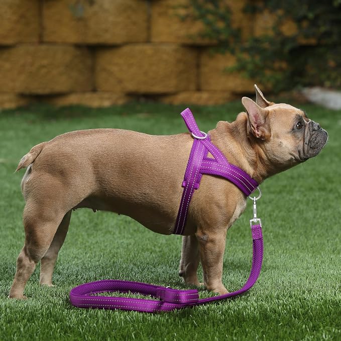 Plutus Pet No Pull Dog Harness for Puppy Small Dogs, Breathable Mesh Padded | Adjustable Reflective with Handle, Escape Proof, Quick Fit Pet Vest, Front Clip, for Training and Walking, Purple, XXS