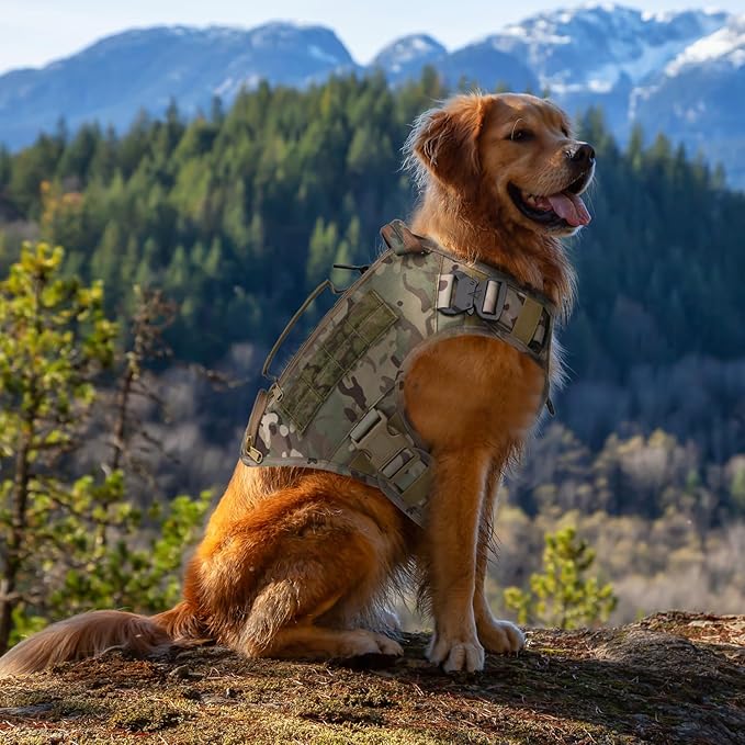Tactical Dog Backpack Harness for Large Breed Original Design Metal Buckle Vest with Side Bags Pouches for Service Working Training (Camouflage (Vest only), XL)