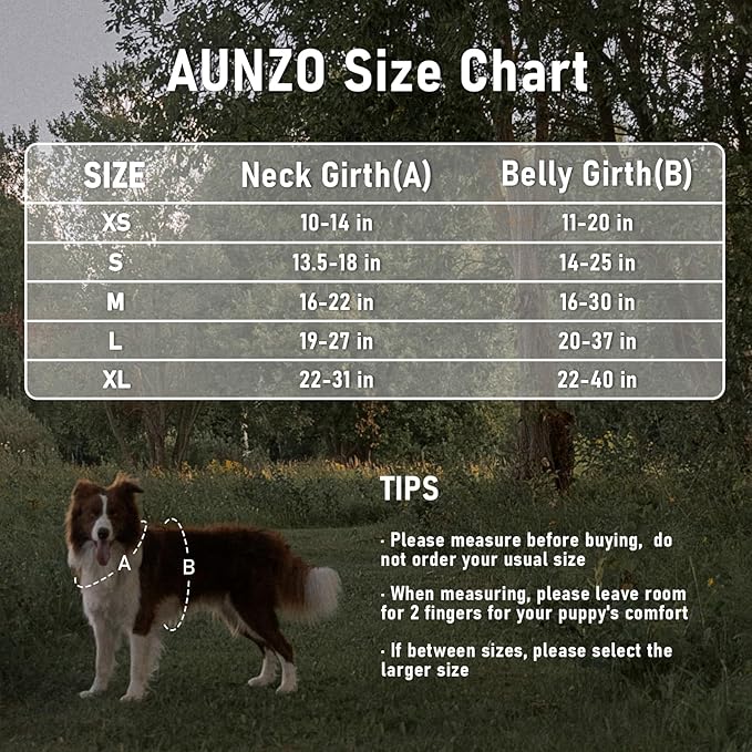 Heavy Duty No Pull Tactical Dog Harness for Large Dogs, Labrador Golden Retriever German Shepherd, Adjustable Soft Padded Dog Vest, Breathable Pet Oxford Vest with Easy Control Handle, Green Ethnic L