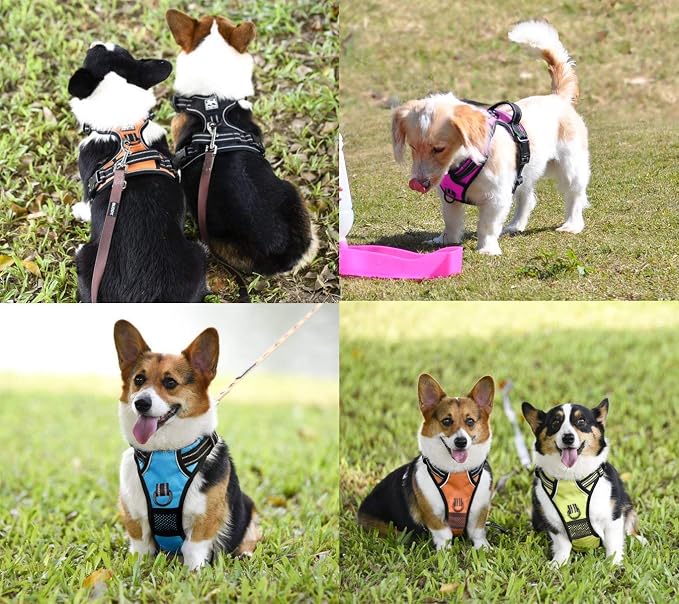 PoyPet No Pull Dog Harness Small with Front Clip & Neck Release Buckle | No Choke, Adjustable Vest, Reflective, Back Clip, Lockable, Soft Padded, Easy Control Handle for Walking Training, S, Orange
