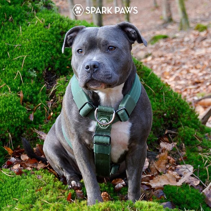 Spark Paws Comfort Control No Pull Dog Harness - Heavy Duty Front Clip | Safety Tested for Strong Breeds, w/ Metal Buckle & Top Handle – Padded Y-Straps Redirect Pulling. Solo or Matching Leash Set